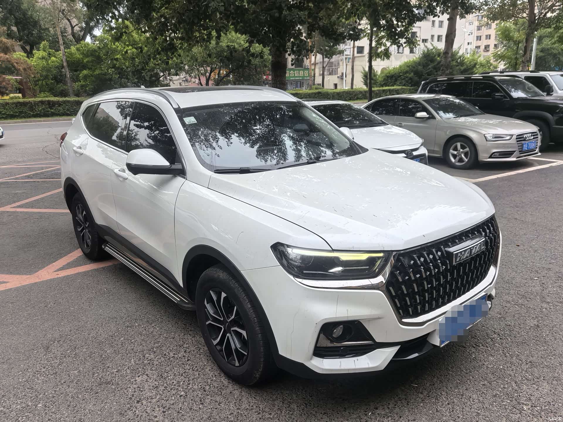 Haval H6, 2023 все фото
