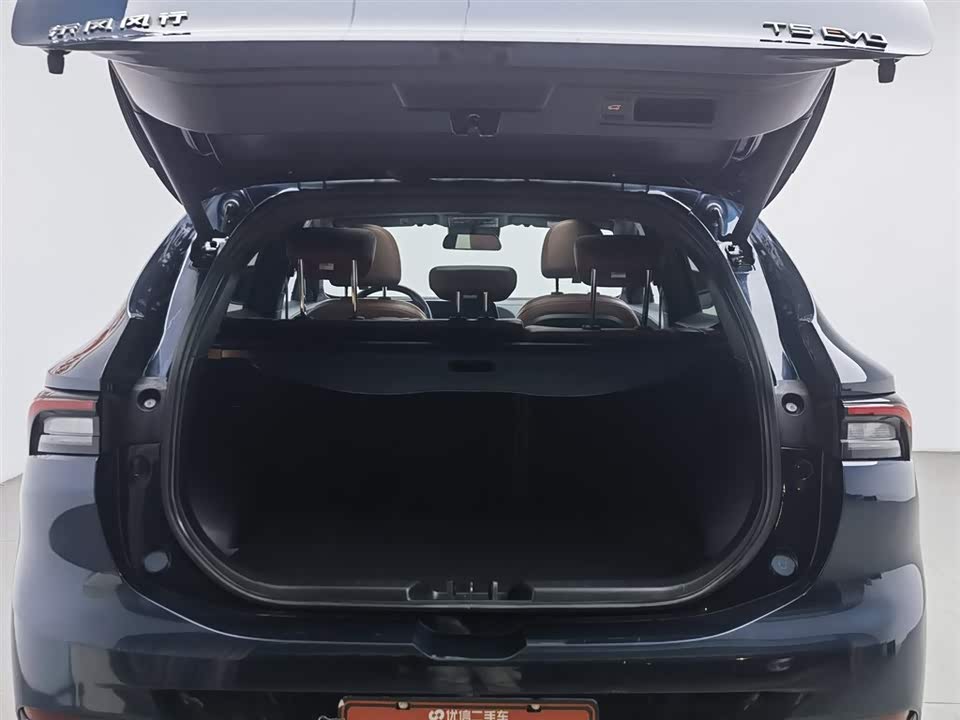 Forthing Popular T5 EVO