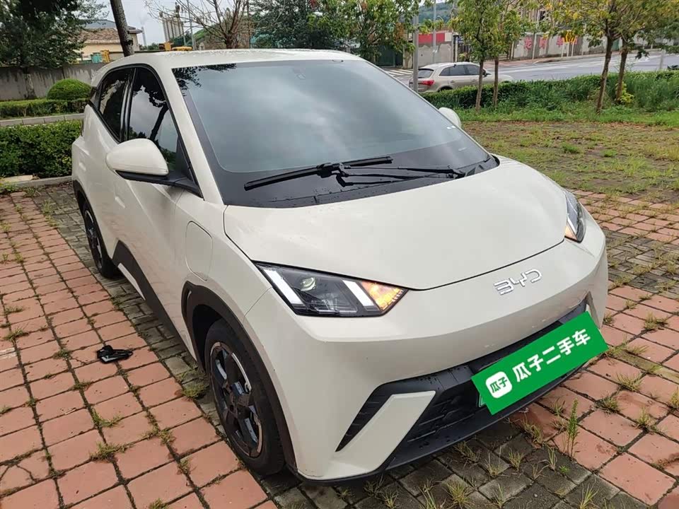 BYD Seagull
