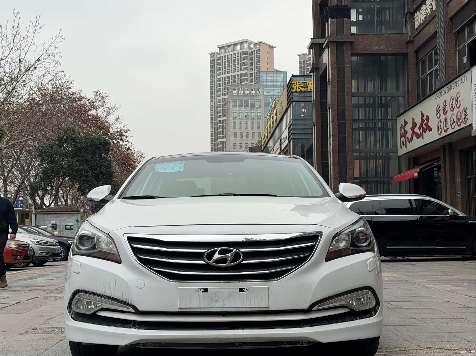 Hyundai DLX, 2014 1