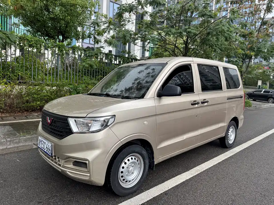 Wuling Wuling Hongguang V