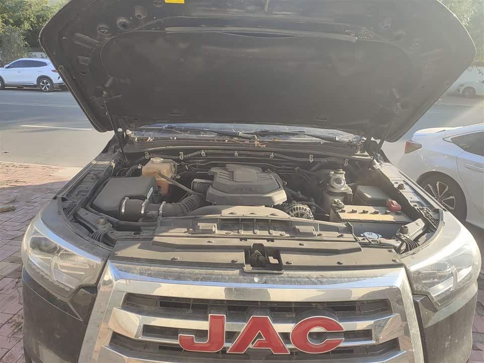 JAC JAC T8
