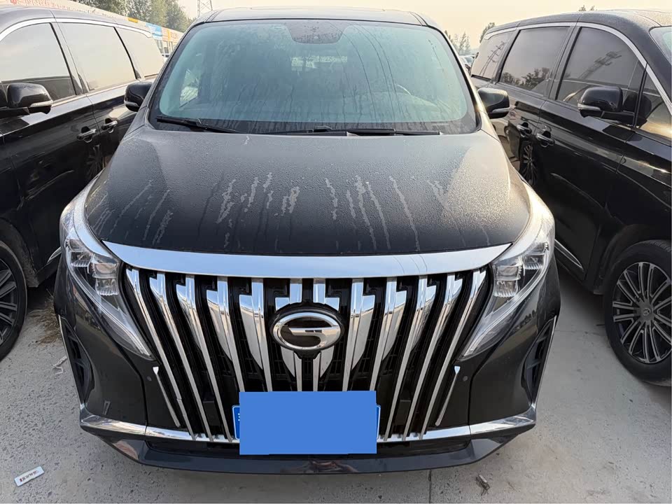 Trumpchi Trumpchi M8