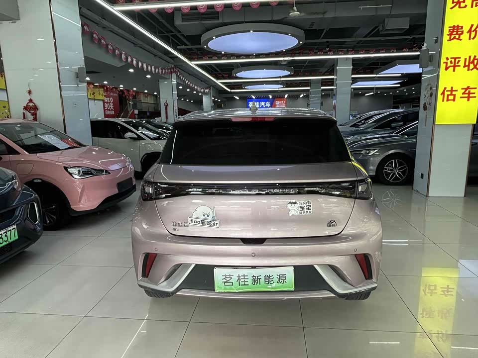 BYD dolphin