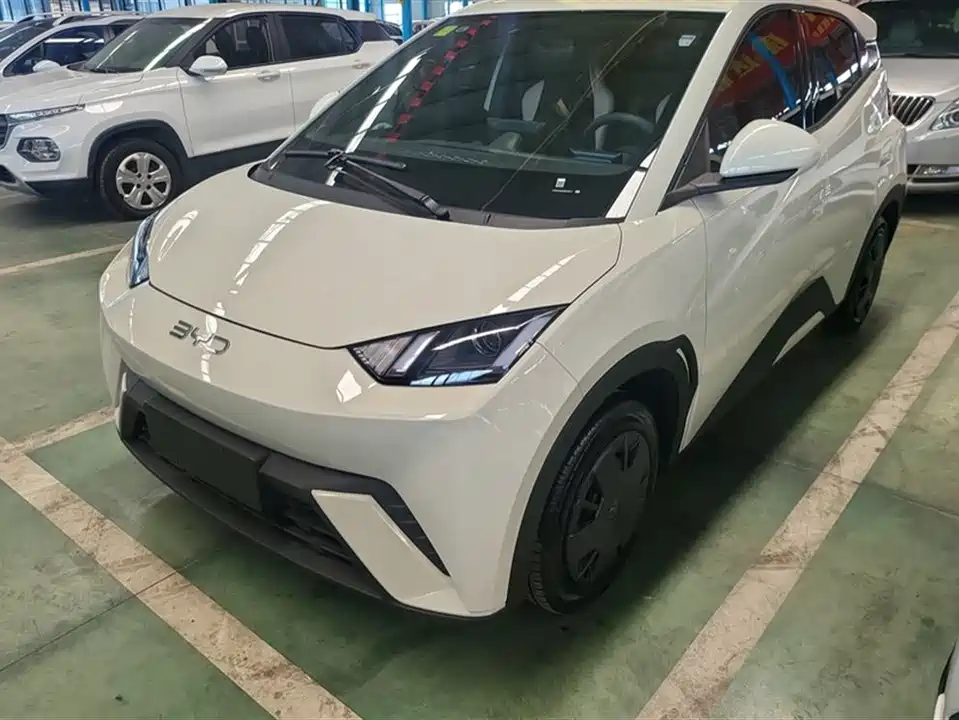 BYD Seagull