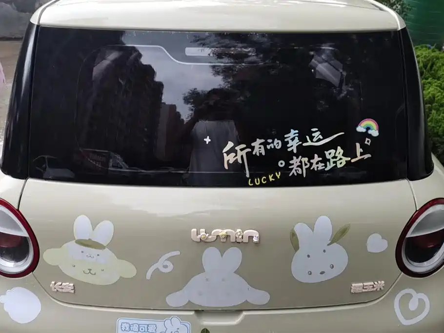 Changan Changan Lumin Changan Changan Lumin