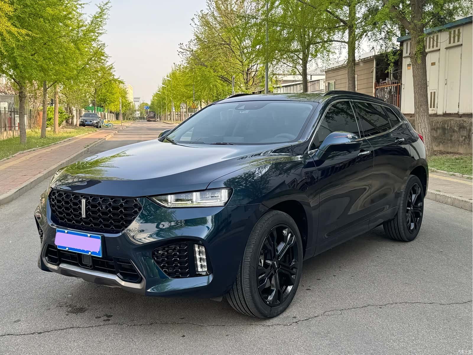 WEY VV7, 2019 3