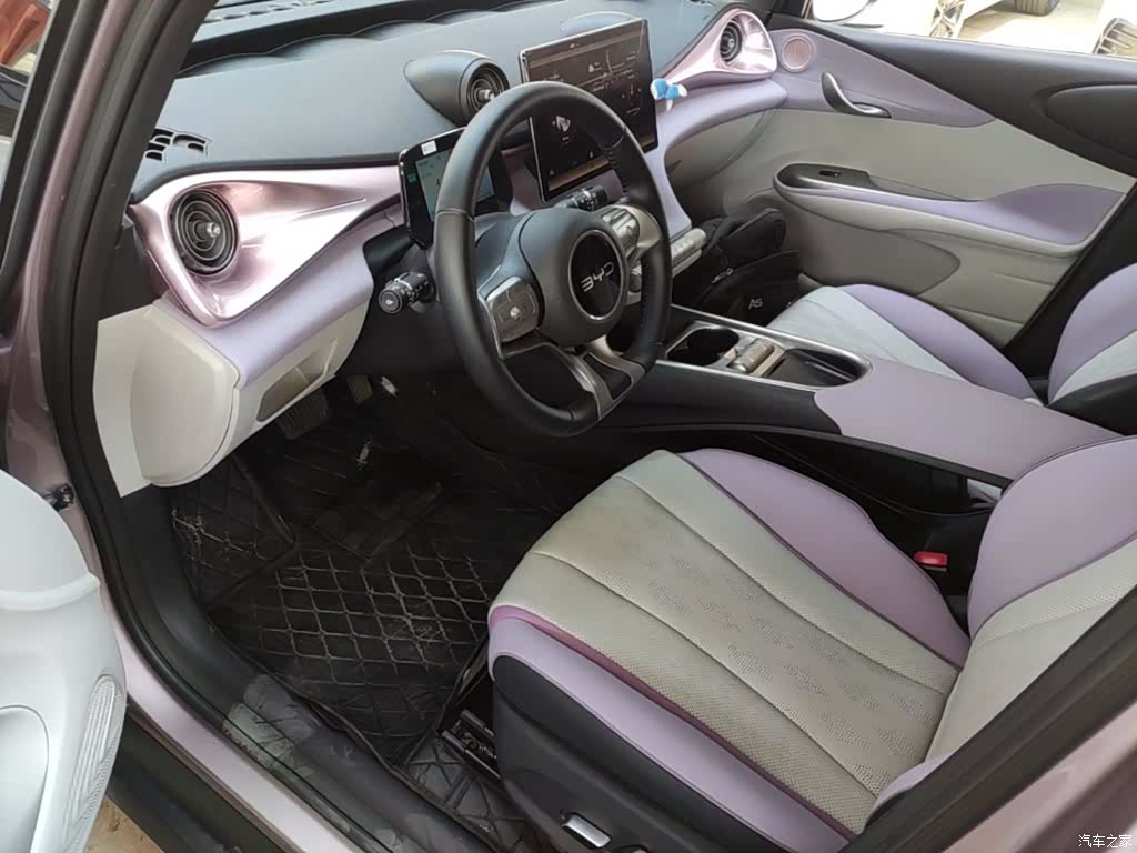 BYD Dolphin, 2024 11