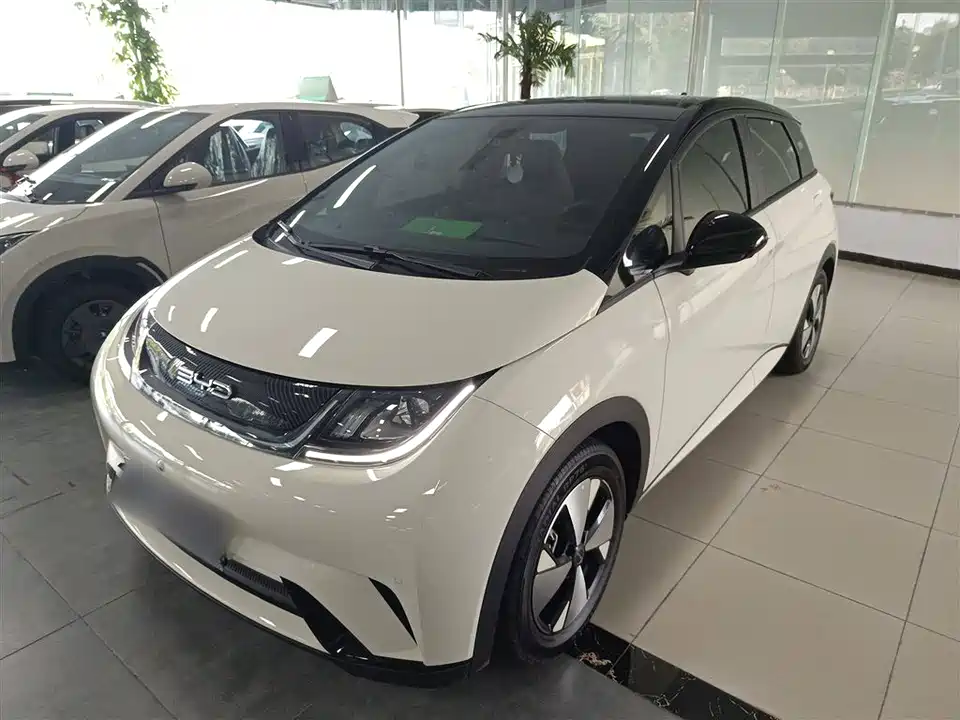 BYD dolphin