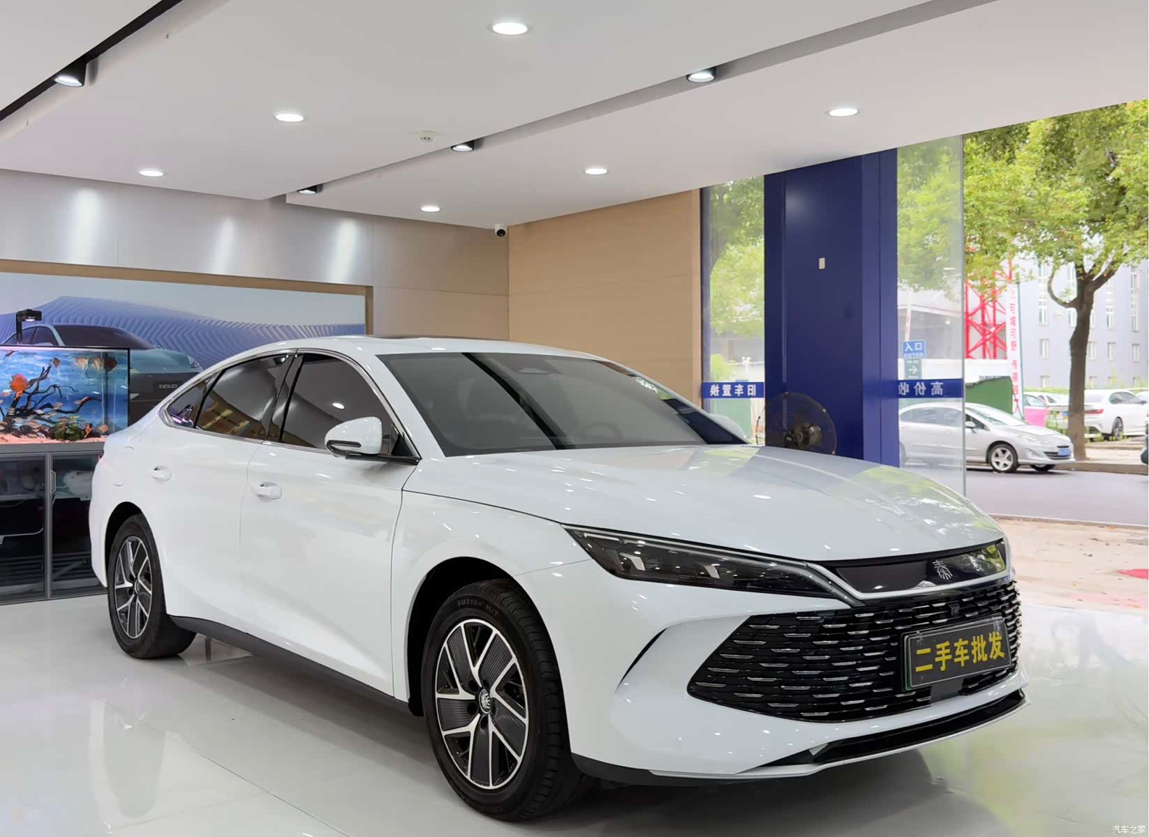 BYD Qin, 2024 3