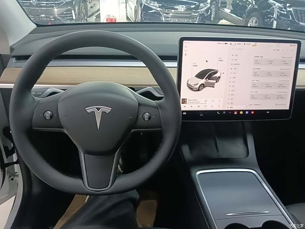 Tesla Model Y, 2021 10