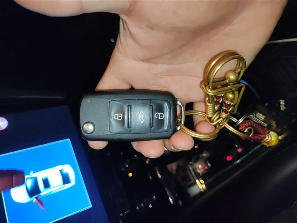 Volkswagen C-TREK Wei Collar