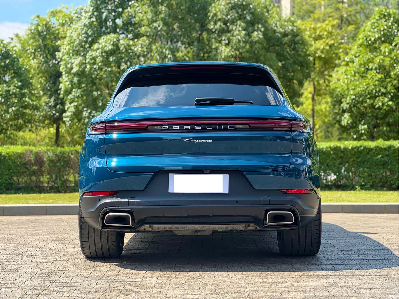 Porsche Cayenne, 2024 все фото