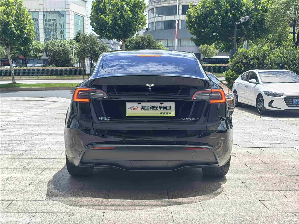 Tesla Model Y, 2021 8