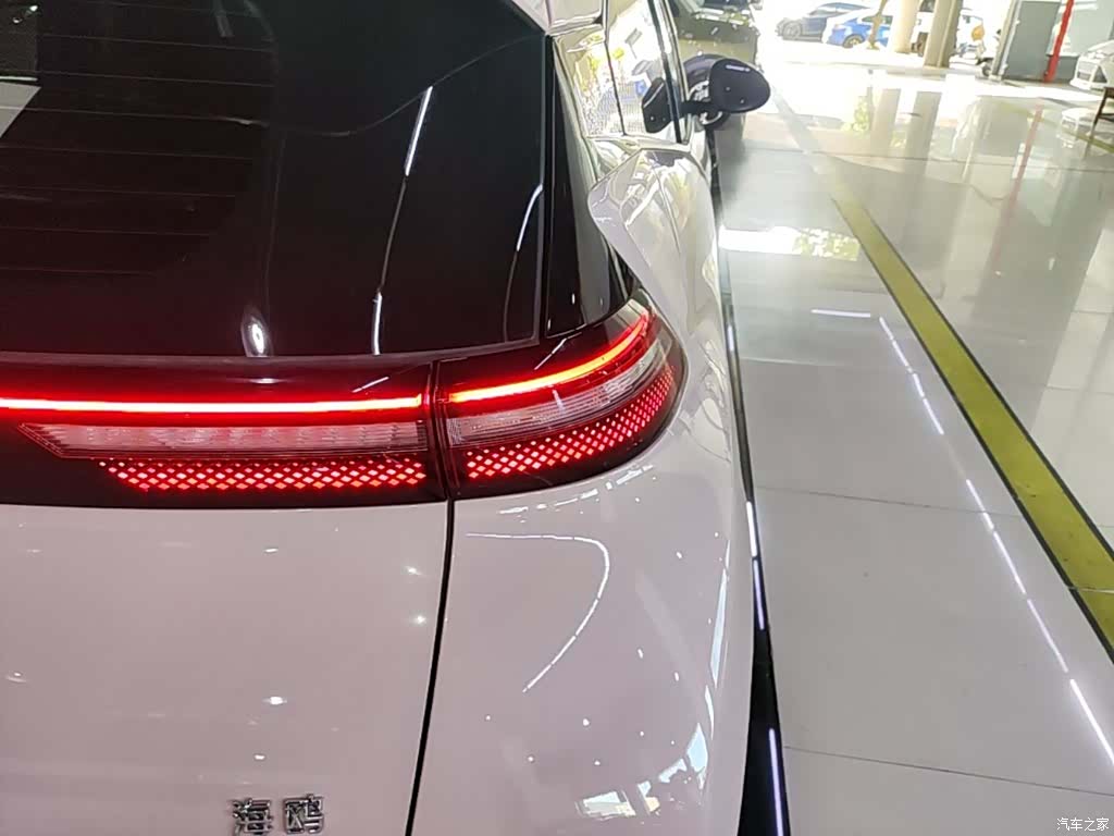 BYD Seagull, 2024 8
