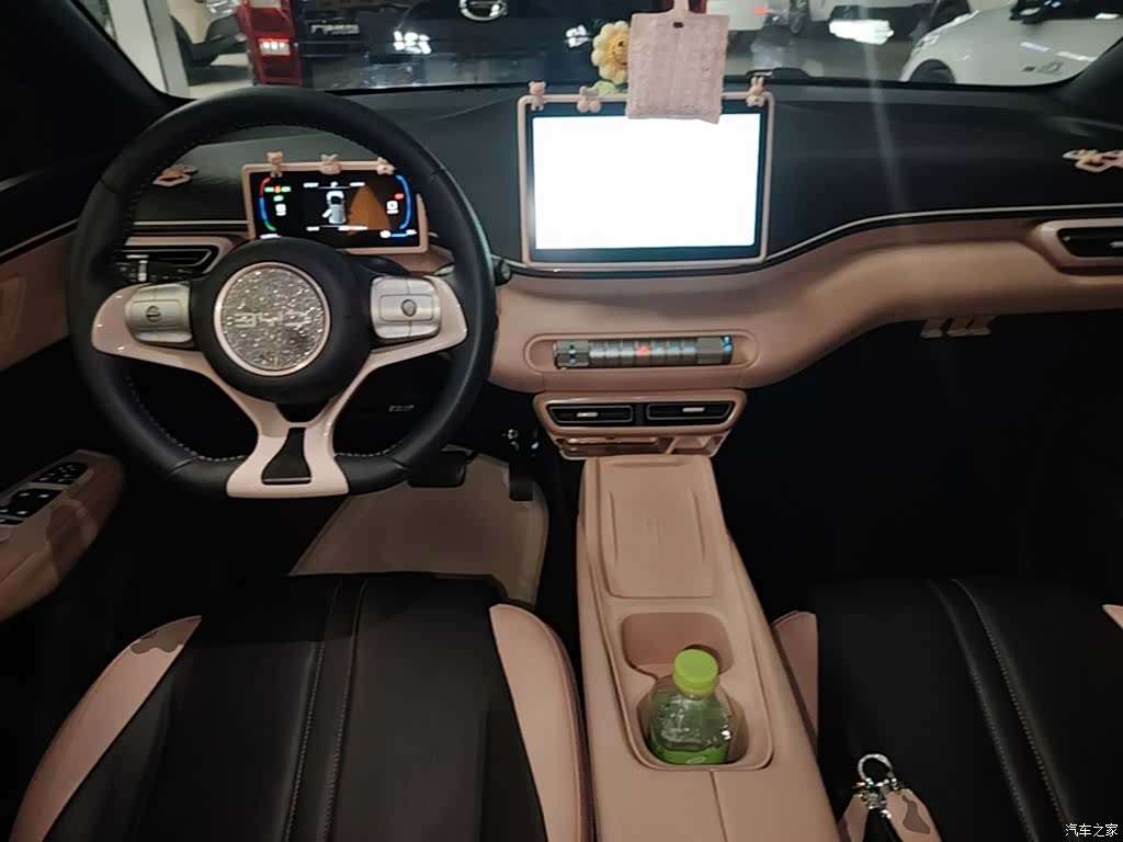 BYD Seagull, 2025 10