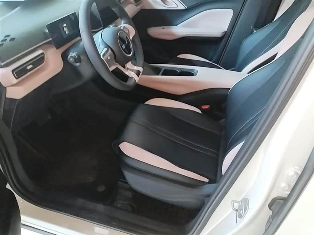 BYD Seagull, 2024 15