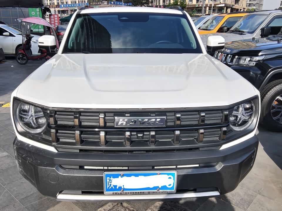 Haval Cool dog