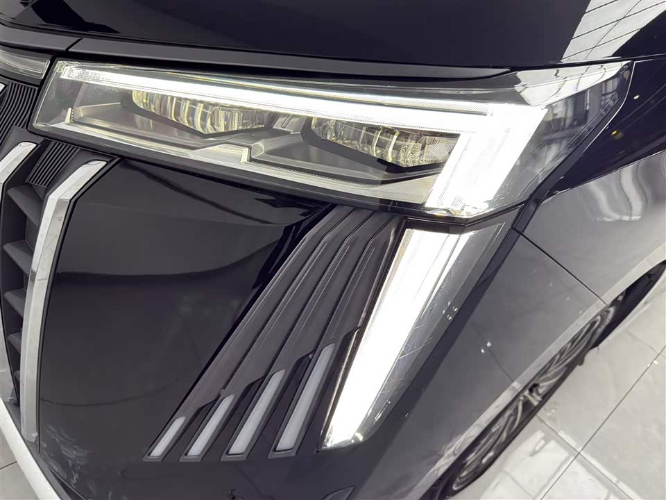 Trumpchi Trumpchi M8