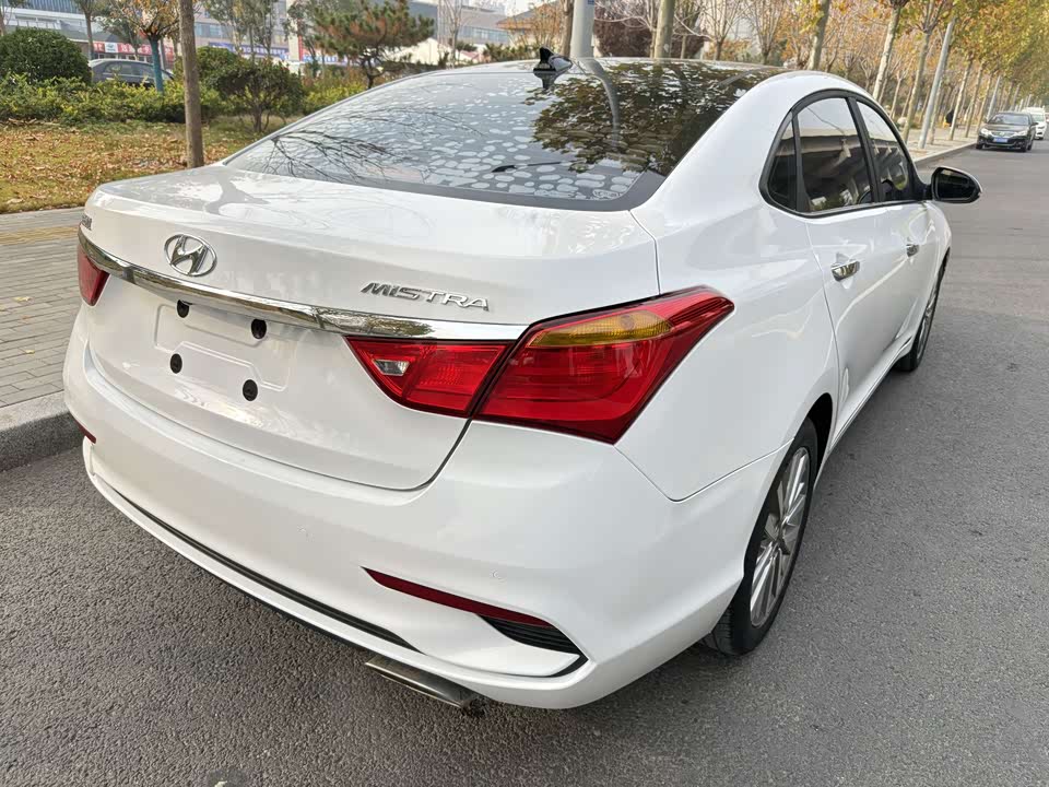 Hyundai Name picture