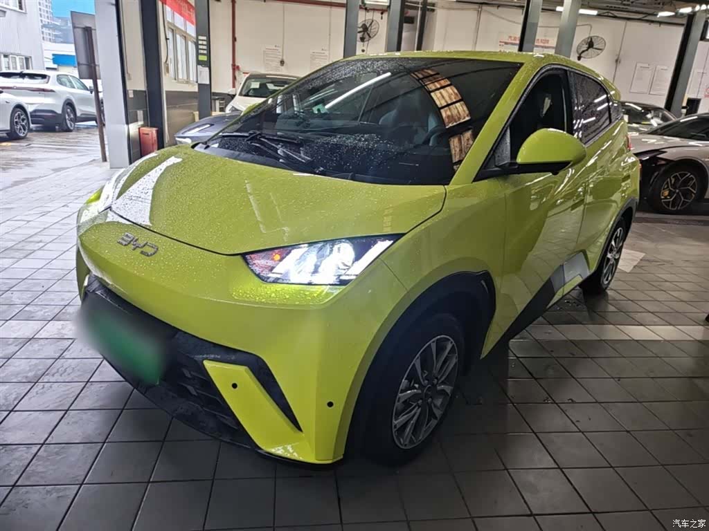 BYD Seagull, 2024 1