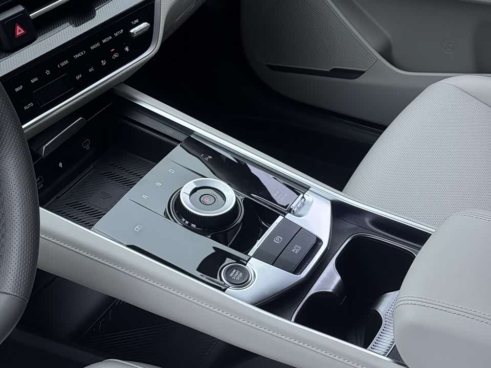 Kia Lion Platinum expands the world