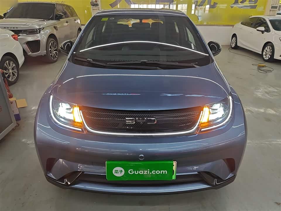 BYD dolphin