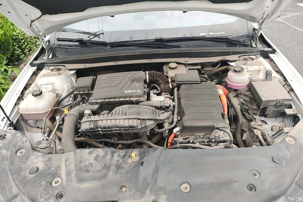 BYD Qin, 2023 10