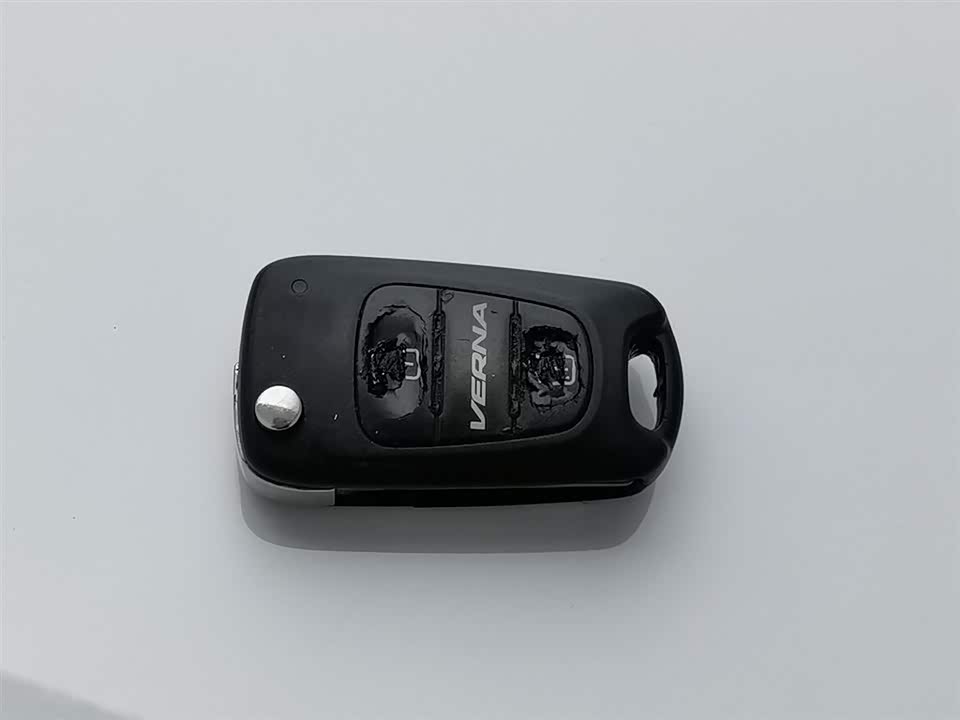 Hyundai Ruiyi