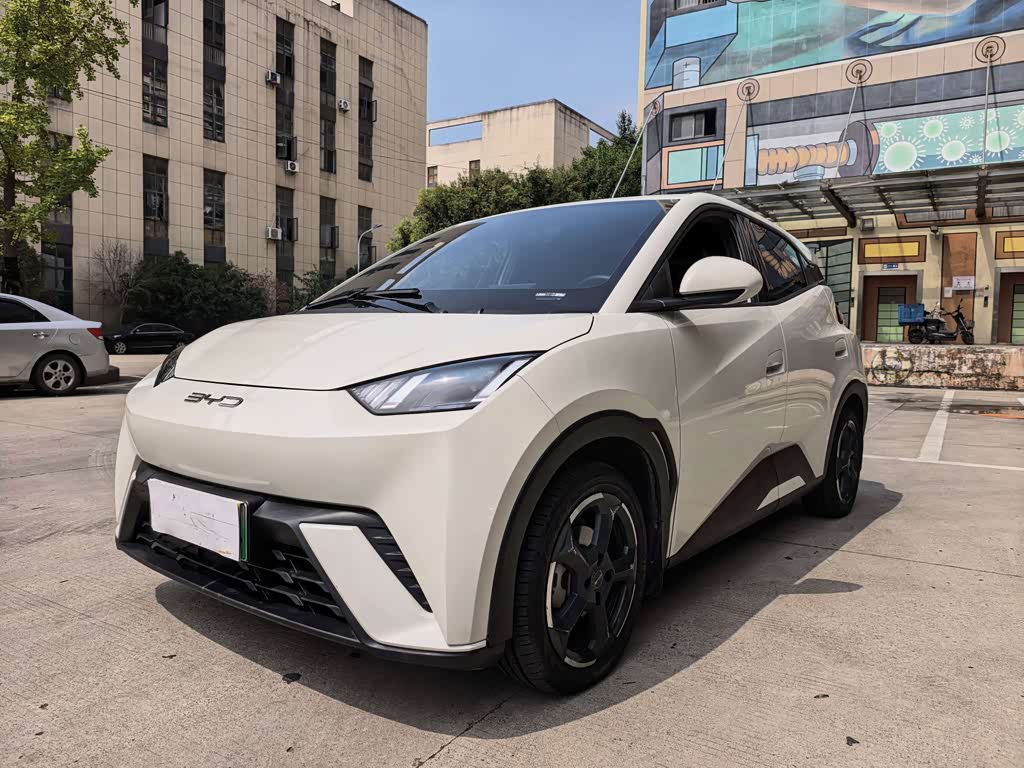 BYD Seagull 2024 305km Freedom