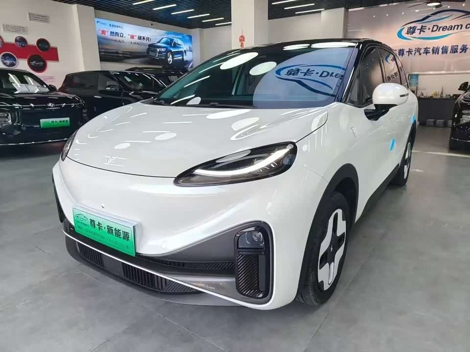 ARCFOX Polar fox koala