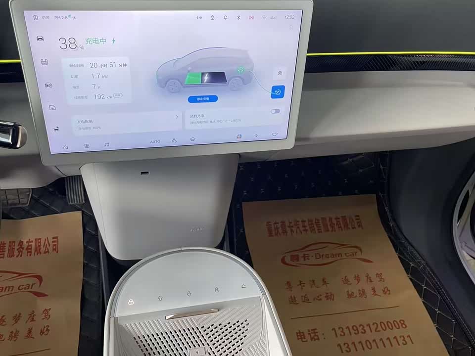 ARCFOX Polar fox koala