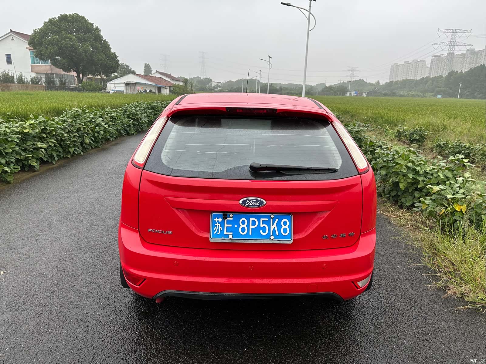 Ford Focus, 2015 все фото