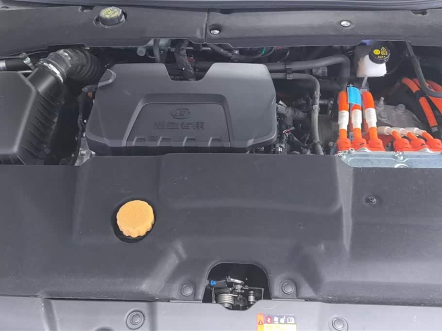 Wuling Wuling Starlight