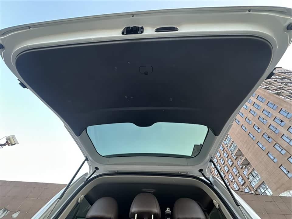 Forthing Lingzhi PLUS