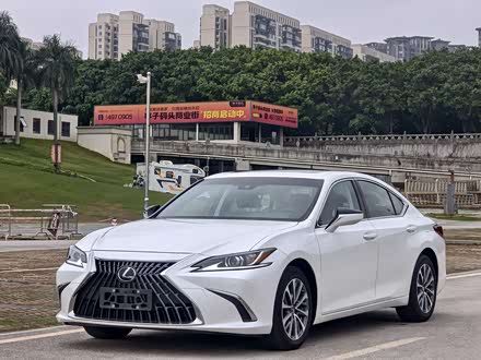 ׿˹ES 2023 260 ׿Խ