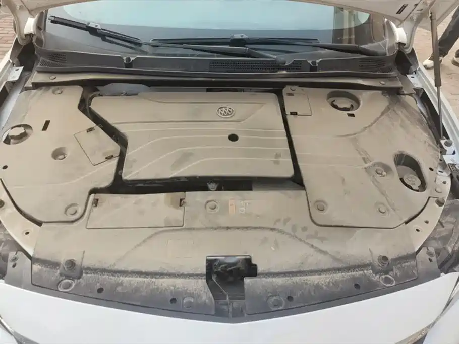 Buick Slightly blue 6