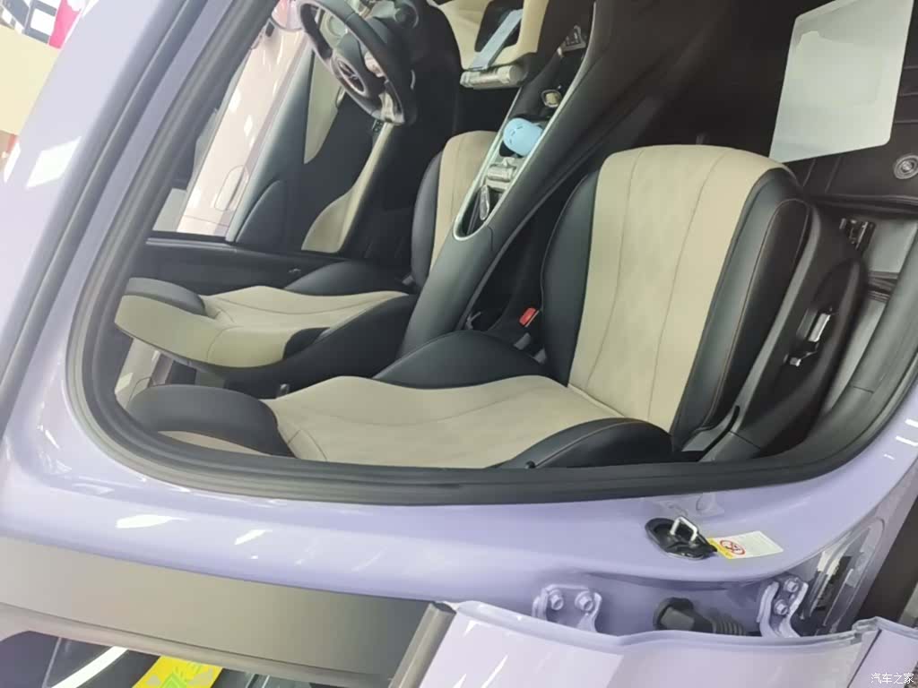 BYD Dolphin, 2024 25