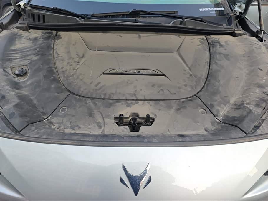 ARCFOX Polar Fox Alpha S