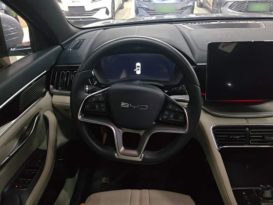 BYD Song PLUS New Energy 2024, фото 11