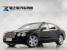 �ɳ� 2015�� 4.0T V8 ��׼��