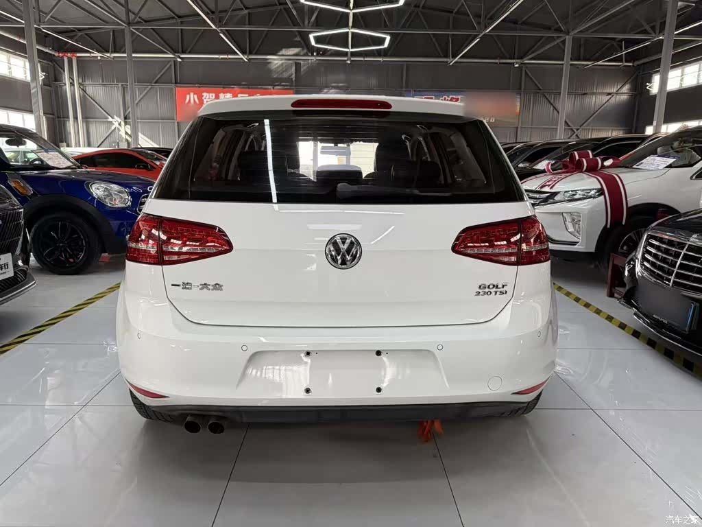 Volkswagen Golf, 2016 10