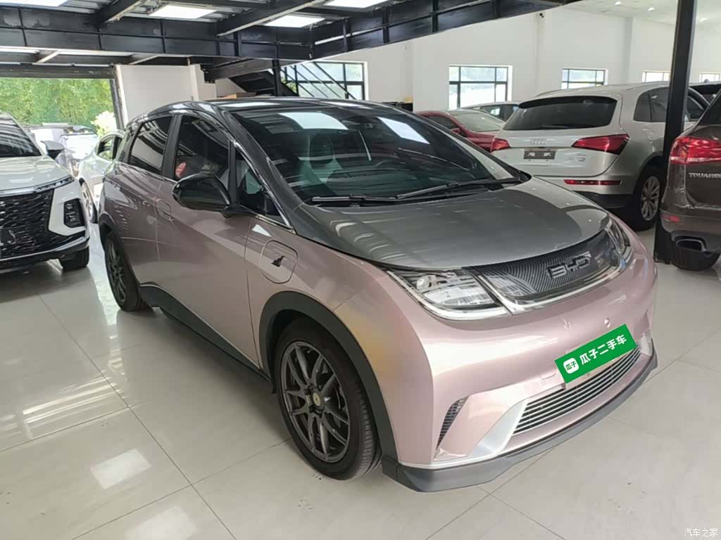 BYD Dolphin, 2022 4