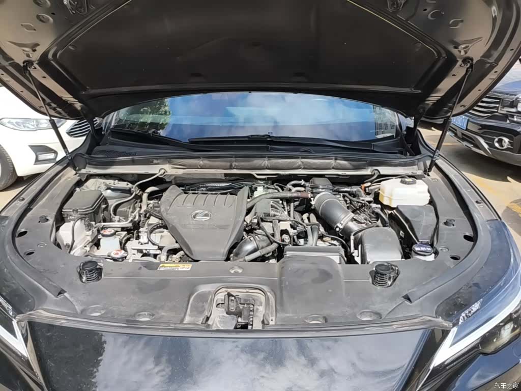 Lexus RX, 2024 20