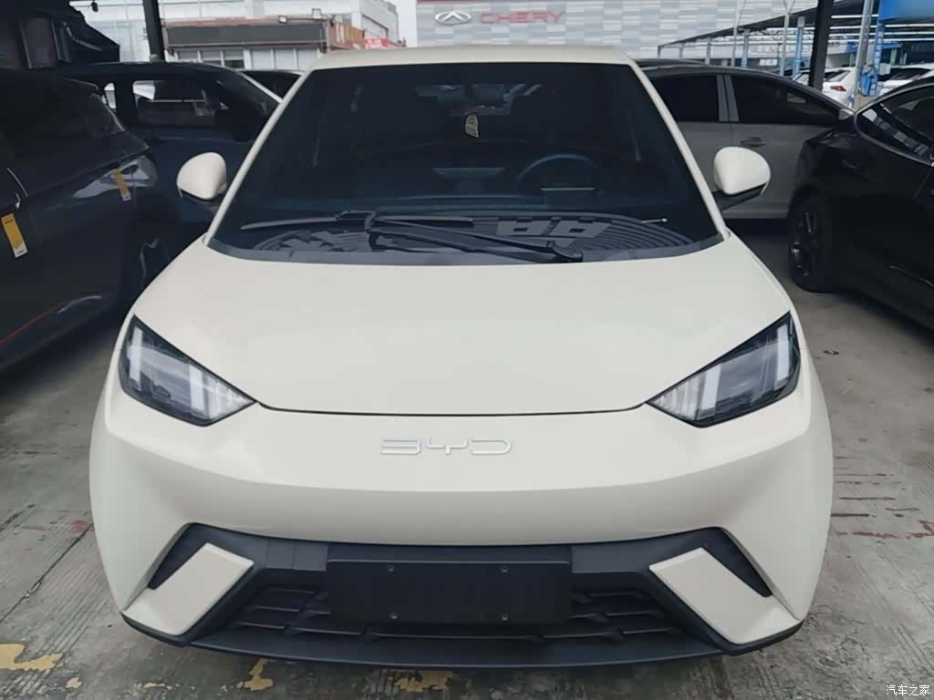 BYD Seagull, 2024 3