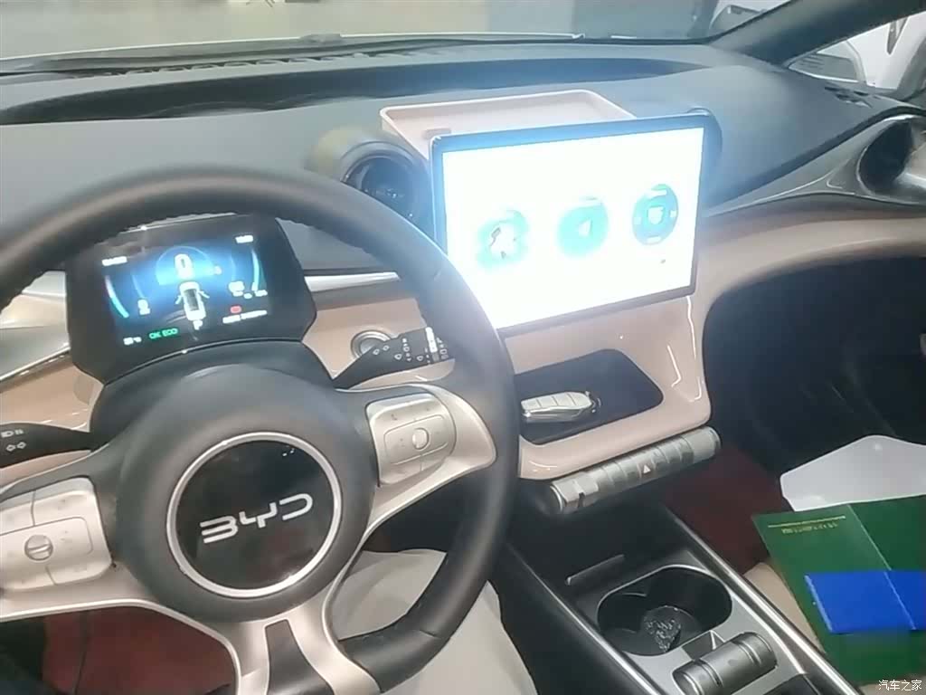 BYD Dolphin, 2025 10