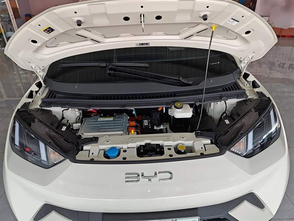 BYD Seagull BYD Seagull