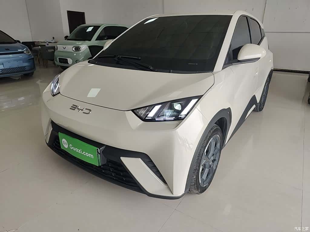 BYD Seagull, 2024 2
