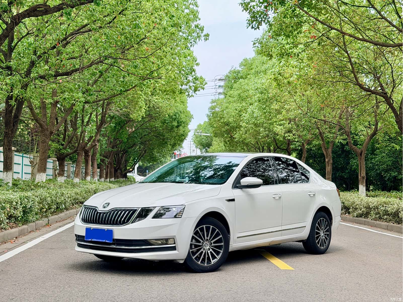 Skoda Octavia, 2018 14
