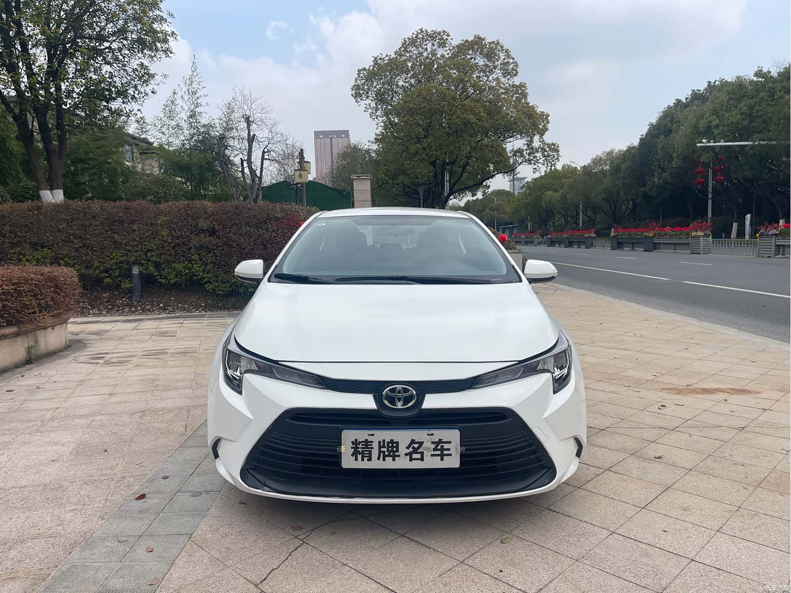 Toyota Levin, 2024 3